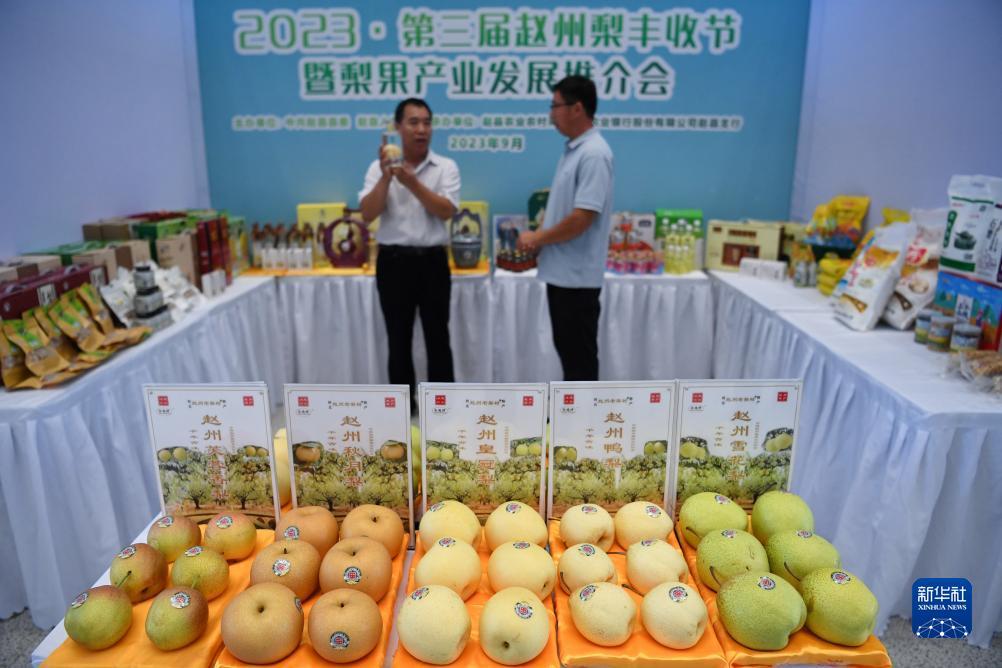 威尼斯游戏手机版